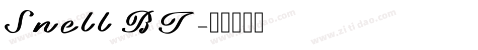Snell BT字体转换